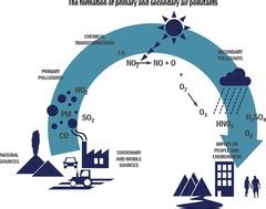 environmental issues quiz quizlet